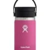 Hydro Flask Wide Mouth Flex Sip 12oz Carnation