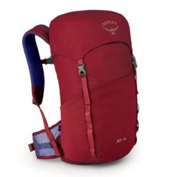 Osprey Jet 18 Kids Hiking Backpack – Cosmic Red